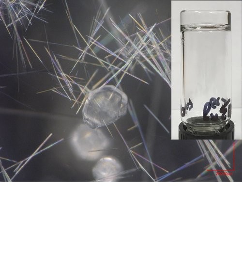 Complex Fluids